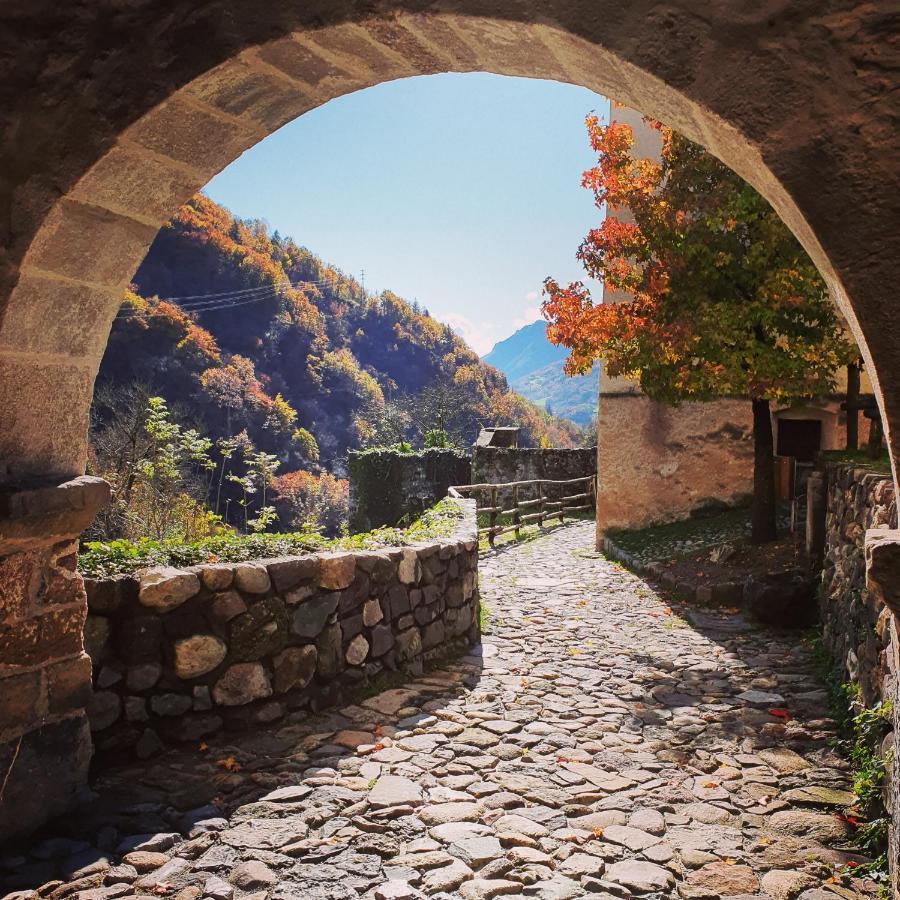 La Tana Del Tasso Rooms&Breakfast Camerata Cornello Exterior foto